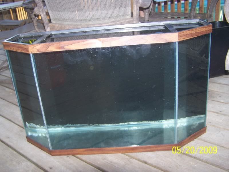 Planted 33 Flat Back Hex (Many pics!)